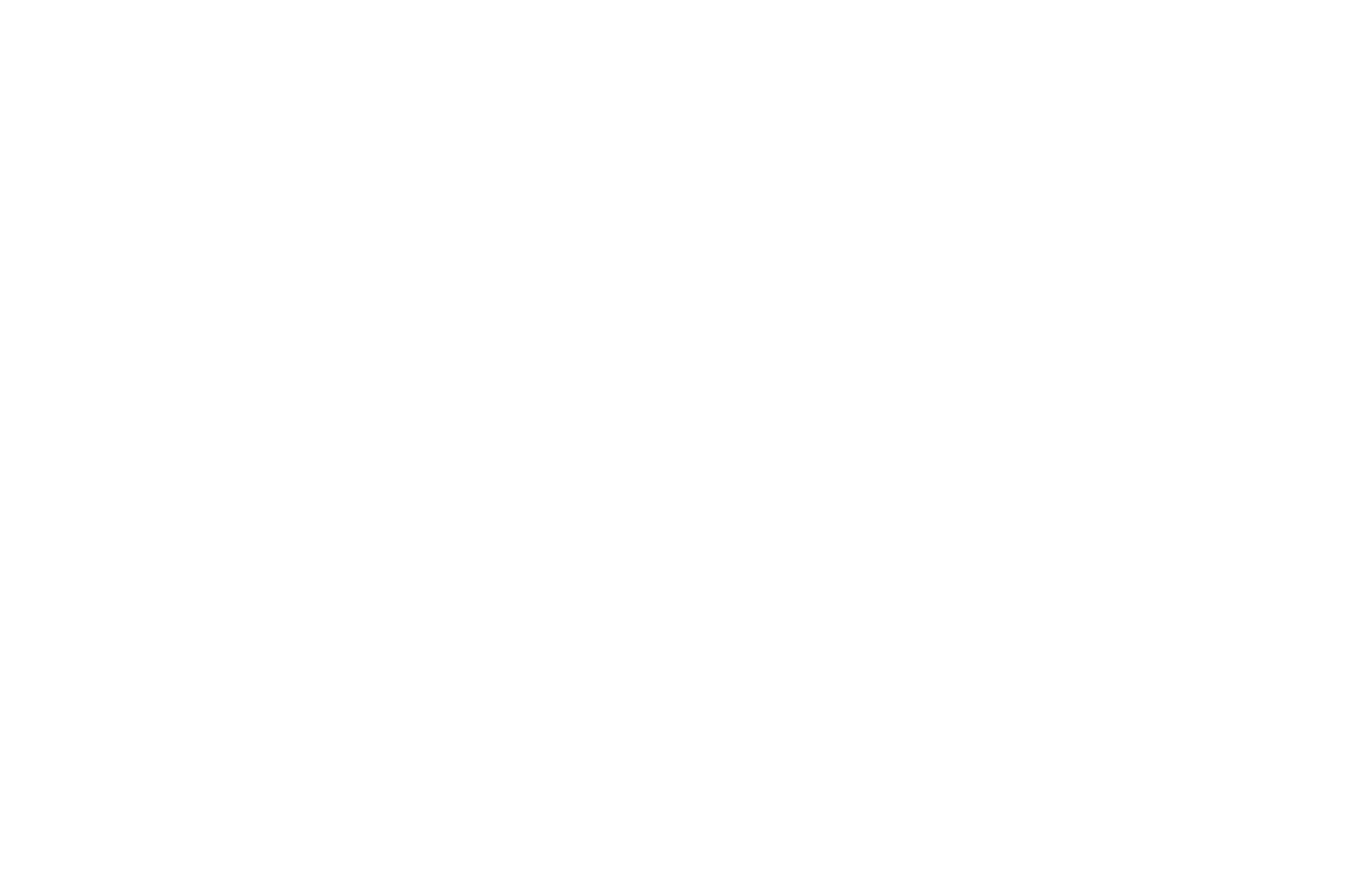 iran noomis secondary logo